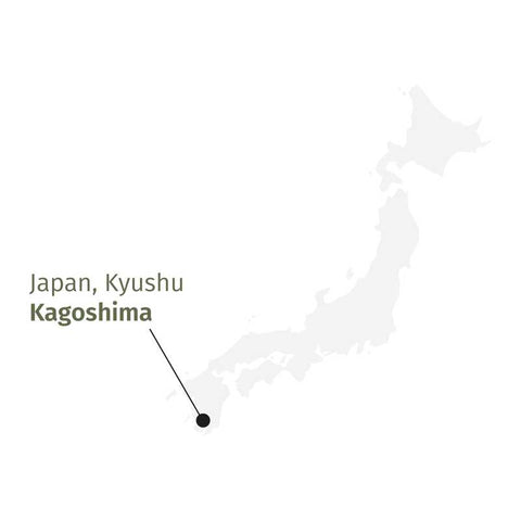 BIO Gyokuro Kusanagi Grüntee