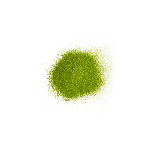 Matcha Japonais – Poudre de Matcha pour Latte & Thé (50g)